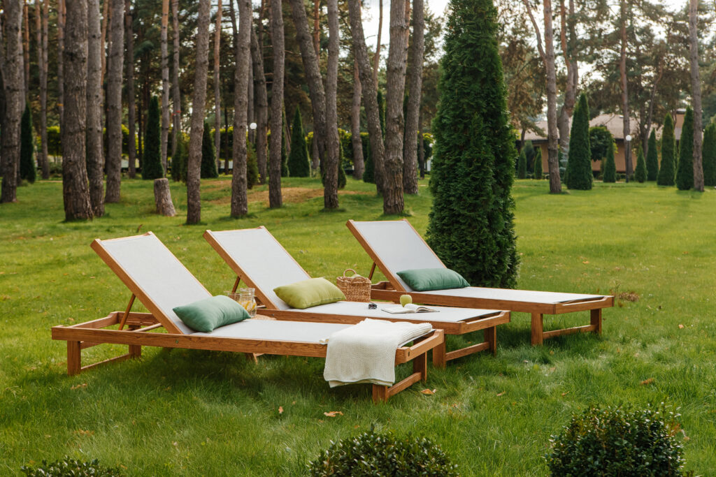 Шезлонг Chalet ― фото 1