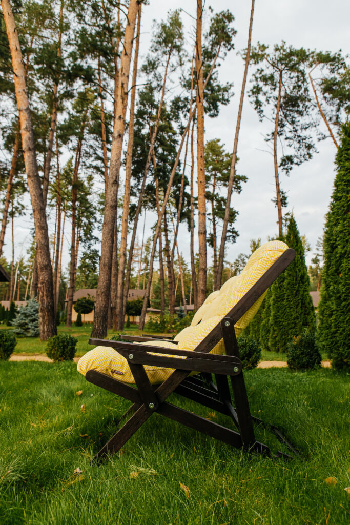 Крісло-шезлонг VIP Chalet chair ― фото 5